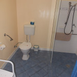 toilet with side rail