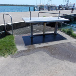 fish cleaning table