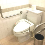 ANA Crowne toilet with rails