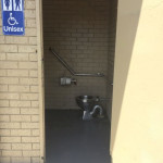 francis ryan accessible toilet with side and rear rails