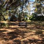 blenheim picnic table located in the shade. No path.
