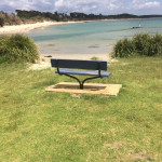 a view looking at currarong bench