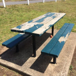 showground picnic table